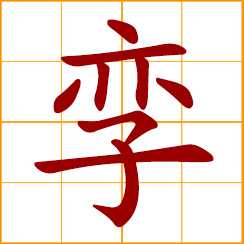 simplified Chinese symbol: twin