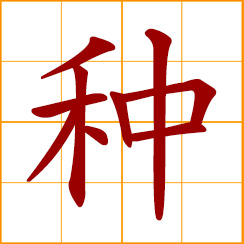 simplified Chinese symbol: to plant, grow, cultivate; seeds of plant; kind, sort, type; race, breed, species