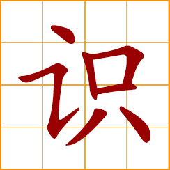 simplified Chinese symbol: sense, sensation; view, opinion, knowledge; to know, recognize, discern