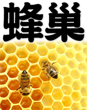 beehive, honeycomb