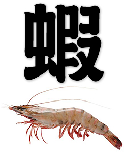 shrimp, prawn