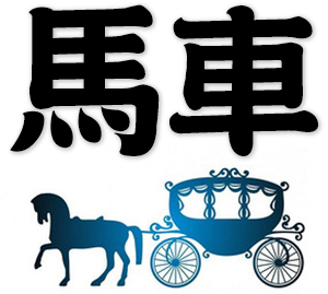 carriage, horse wagon, horse-drawn carriage