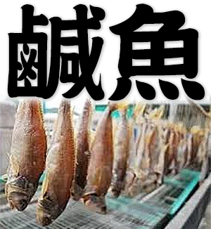 salted fish, dried and salted fish