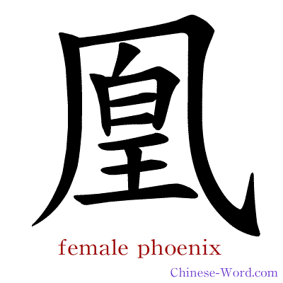 Chinese symbol calligraphy strokes animation for female phoenix