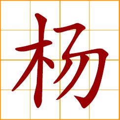 simplified Chinese symbol: poplar tree; Yang, Yong, Yeung, Chinese surname