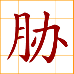 simplified Chinese symbol: to coerce, threaten with force; upper part of the side of the human body