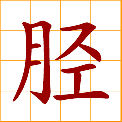 simplified Chinese symbol: shin; lower part of leg