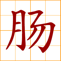 simplified Chinese symbol: intestines; sausage