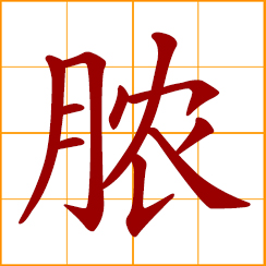 simplified Chinese symbol: pus, purulence