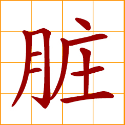 simplified Chinese symbol: internal organs; the viscera