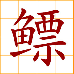 simplified Chinese symbol: fish maw; maw of a fish; swim bladder; air bladder