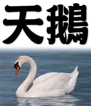 swan