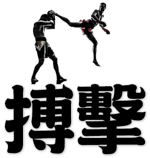 kick-boxing, mixed martial arts