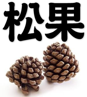 pine cone