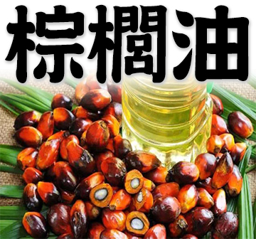 palm oil