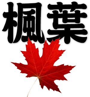 maple leaf; maple leaves