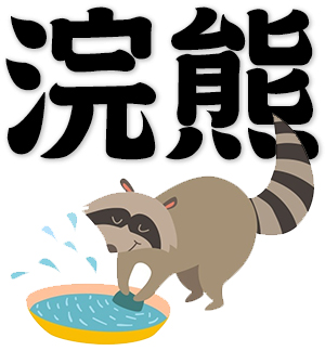 raccoon