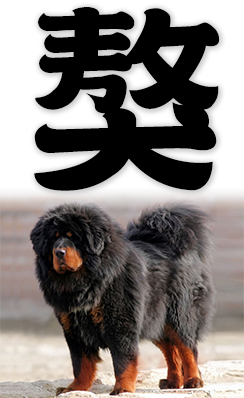 mastiff, Tibetan Mastiff