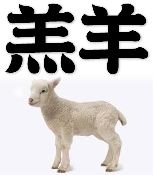 lamb, young sheep