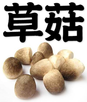 straw mushroom