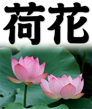 lotus, water lily