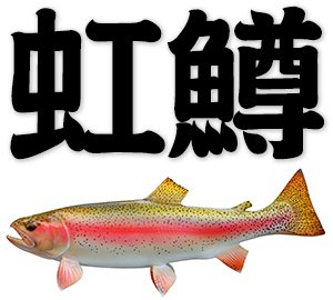 rainbow trout