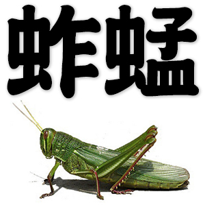 grasshopper