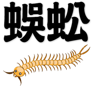 centipede