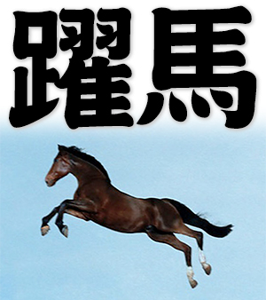 leaping horse, galloping horse, spur on a horse