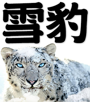 snow leopard