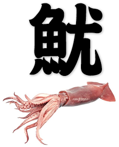 squid, cuttlefish