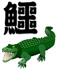 crocodile, alligator