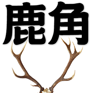 antlers, buckhorns, deer antler